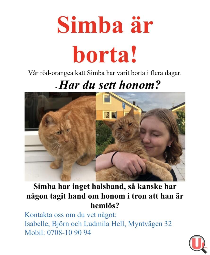 Bortsprungens katt Eskilstuna   på www.upphittat.se