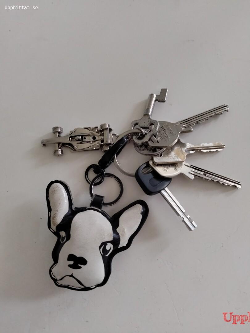 Hittade nycklar i hundrastgård   på www.upphittat.se